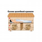 СОН НА УЛЬЯХ